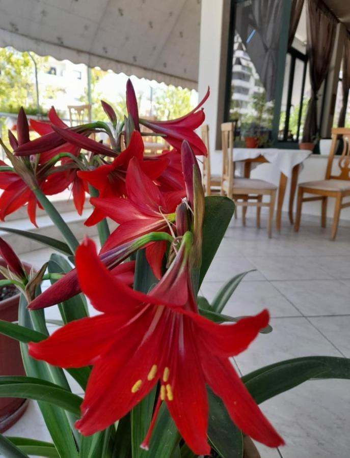Hotel Rossi Vlorë Eksteriør bilde